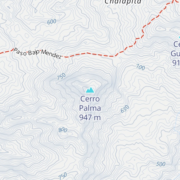 Map of Cerro Palma