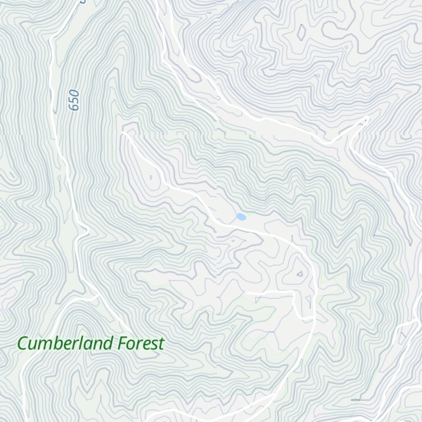 Map of Dismal Ridge