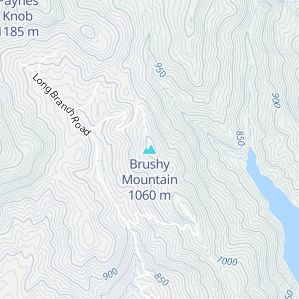 Map of Brushy Mountain