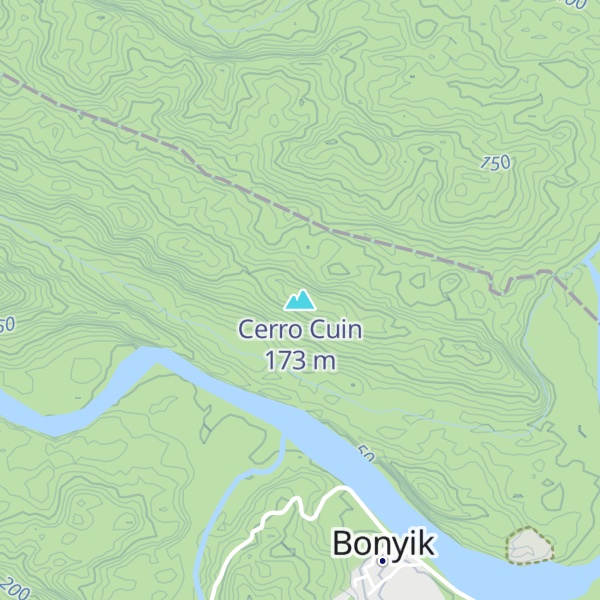 Map of Cerro Cuin