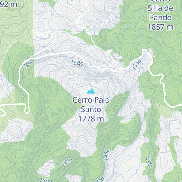 Map of Cerro Palo Santo