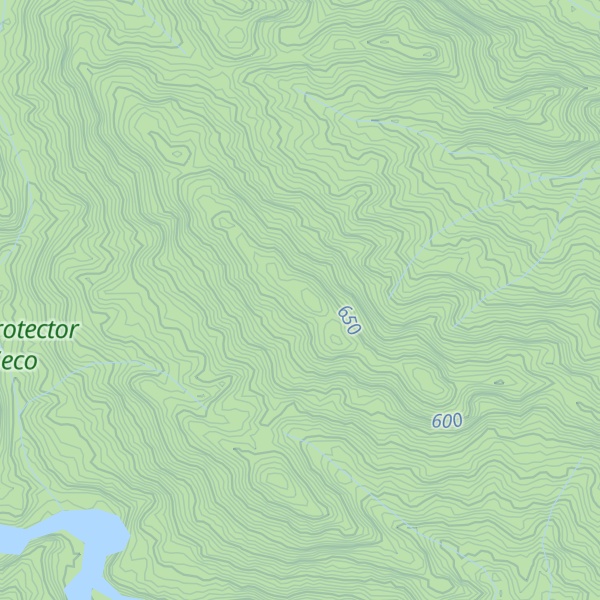 Map of Cerro Sepuchingo
