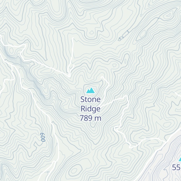 Map of Stone Ridge