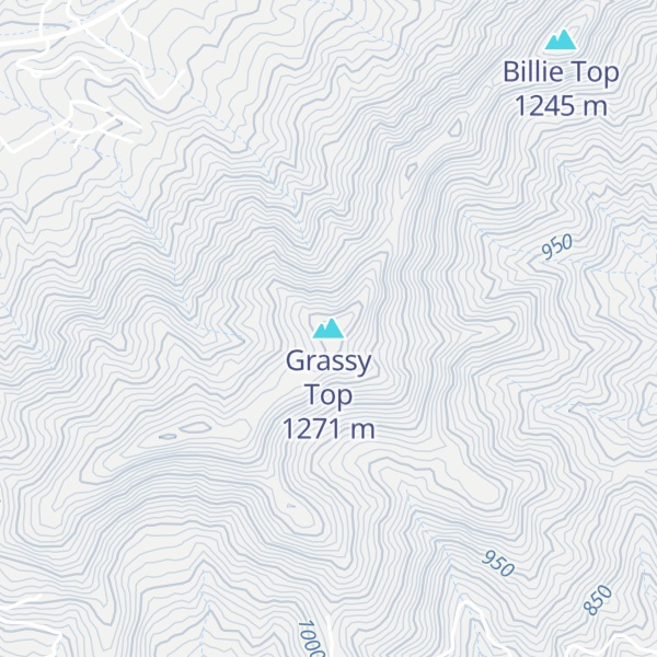 Map of Grassy Top