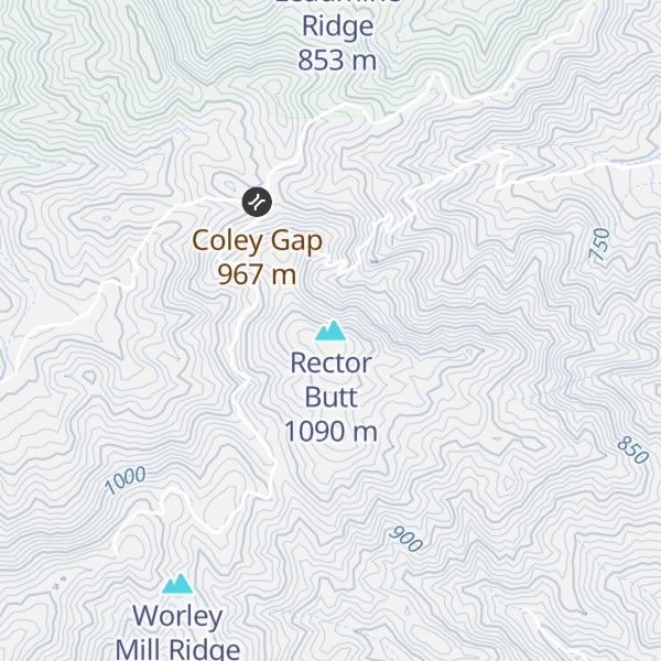 Map of Rector Butt