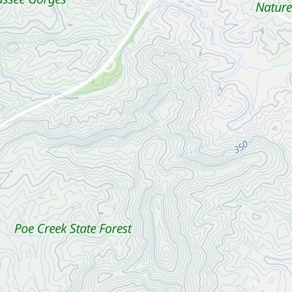 Map of Buzzard Roost Mountain