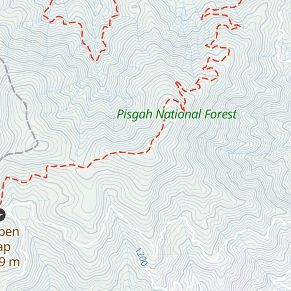Map of Bluff Mountain