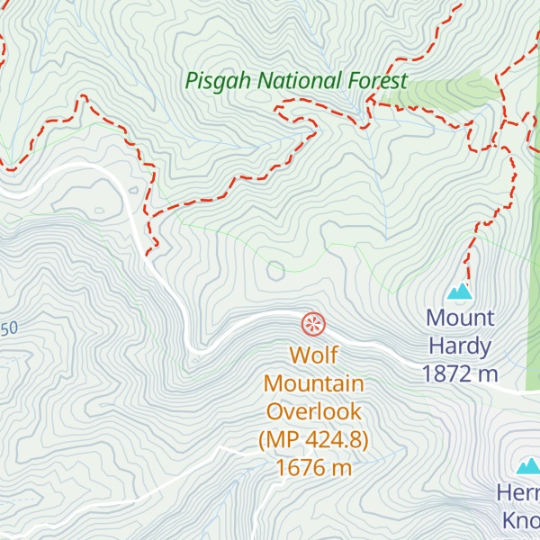Map of Wolf Bald