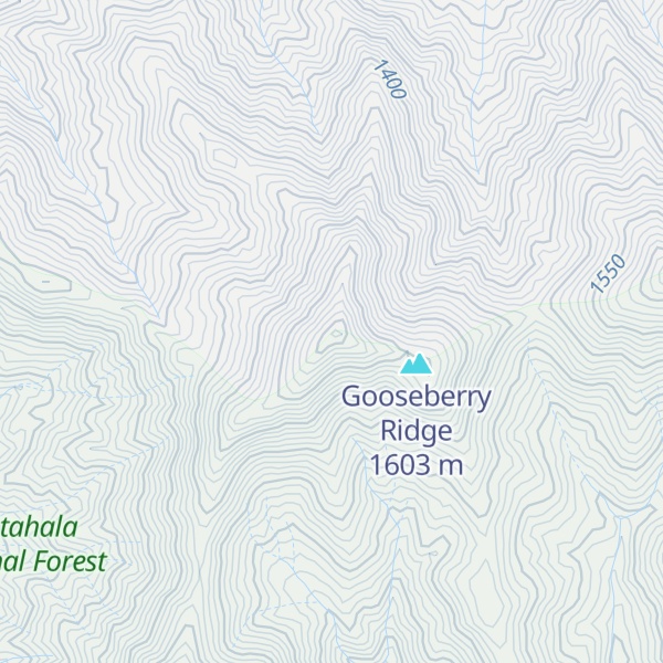 Map of Snaggy Bald Ridge