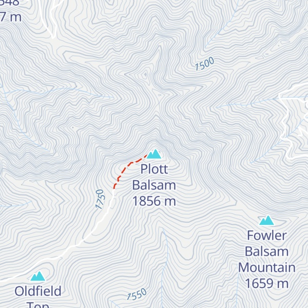 Map of Plott Balsam