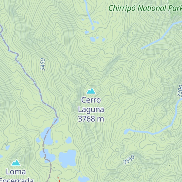 Map of Cerro Laguna