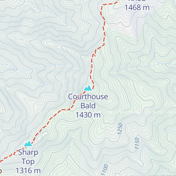 Map of Courthouse Bald