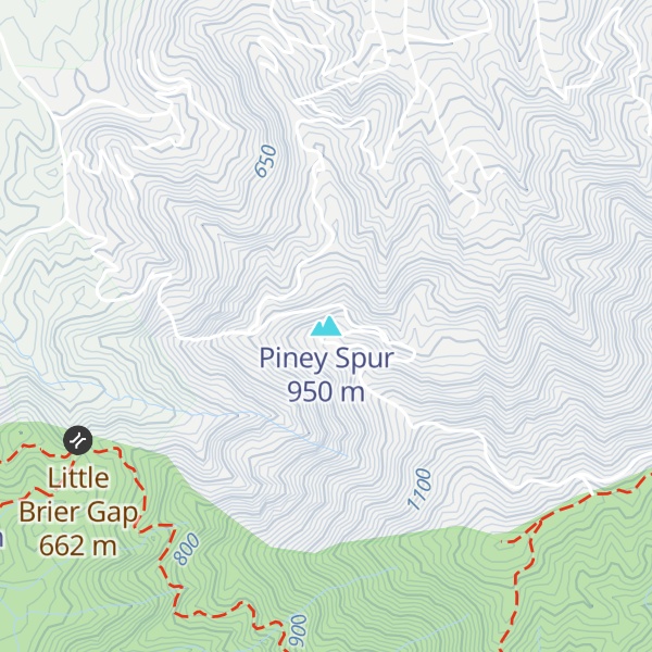Map of Piney Spur