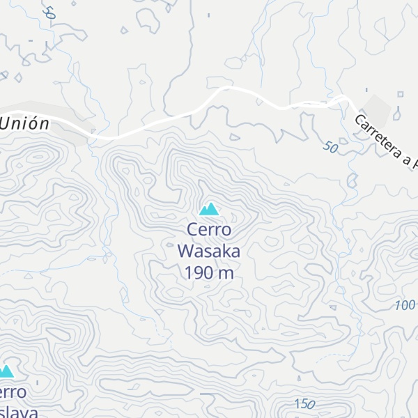 Map of Cerro Wasaka
