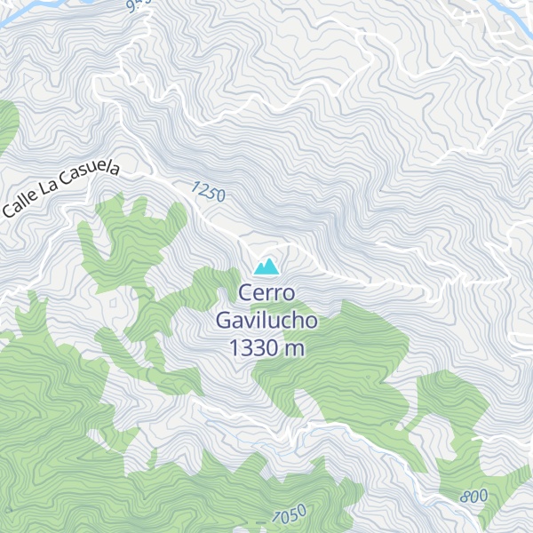 Map of Cerro Gavilucho