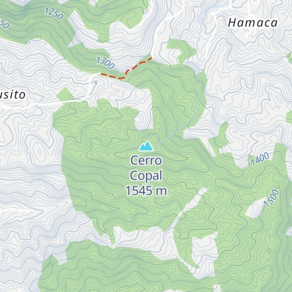 Map of Cerro Copal