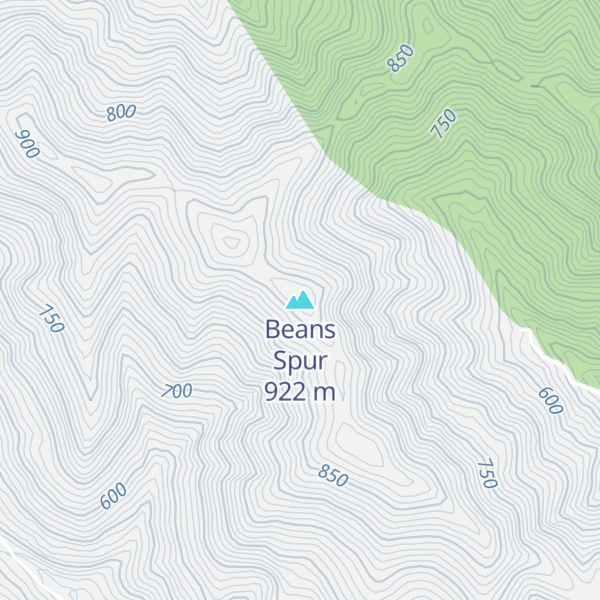 Map of Beans Spur