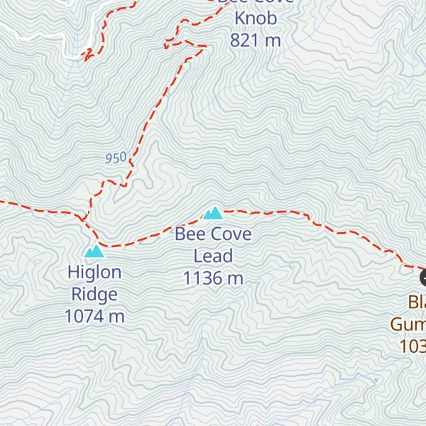 Map of Bee Cove Lead