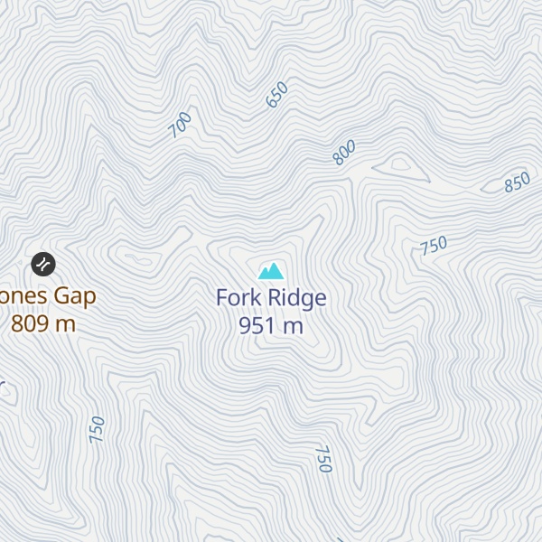 Map of Fork Ridge