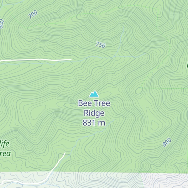 Map of Bee Tree Ridge