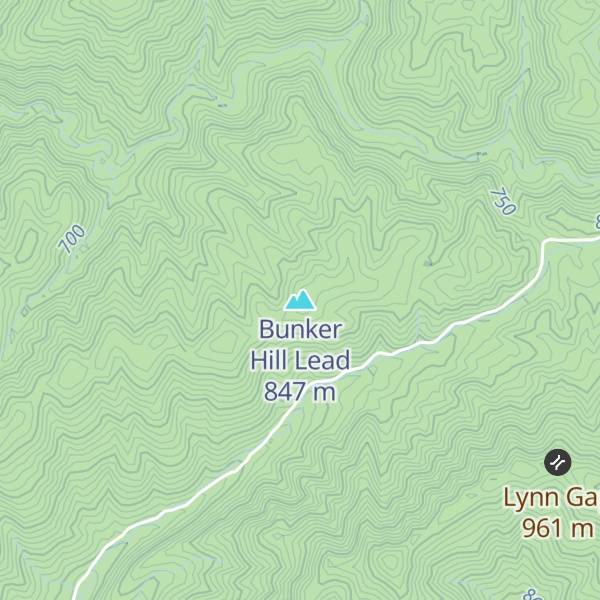 Map of Bunker Hill Lead