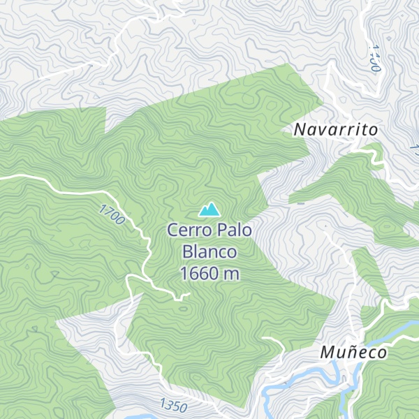 Map of Cerro Palo Blanco