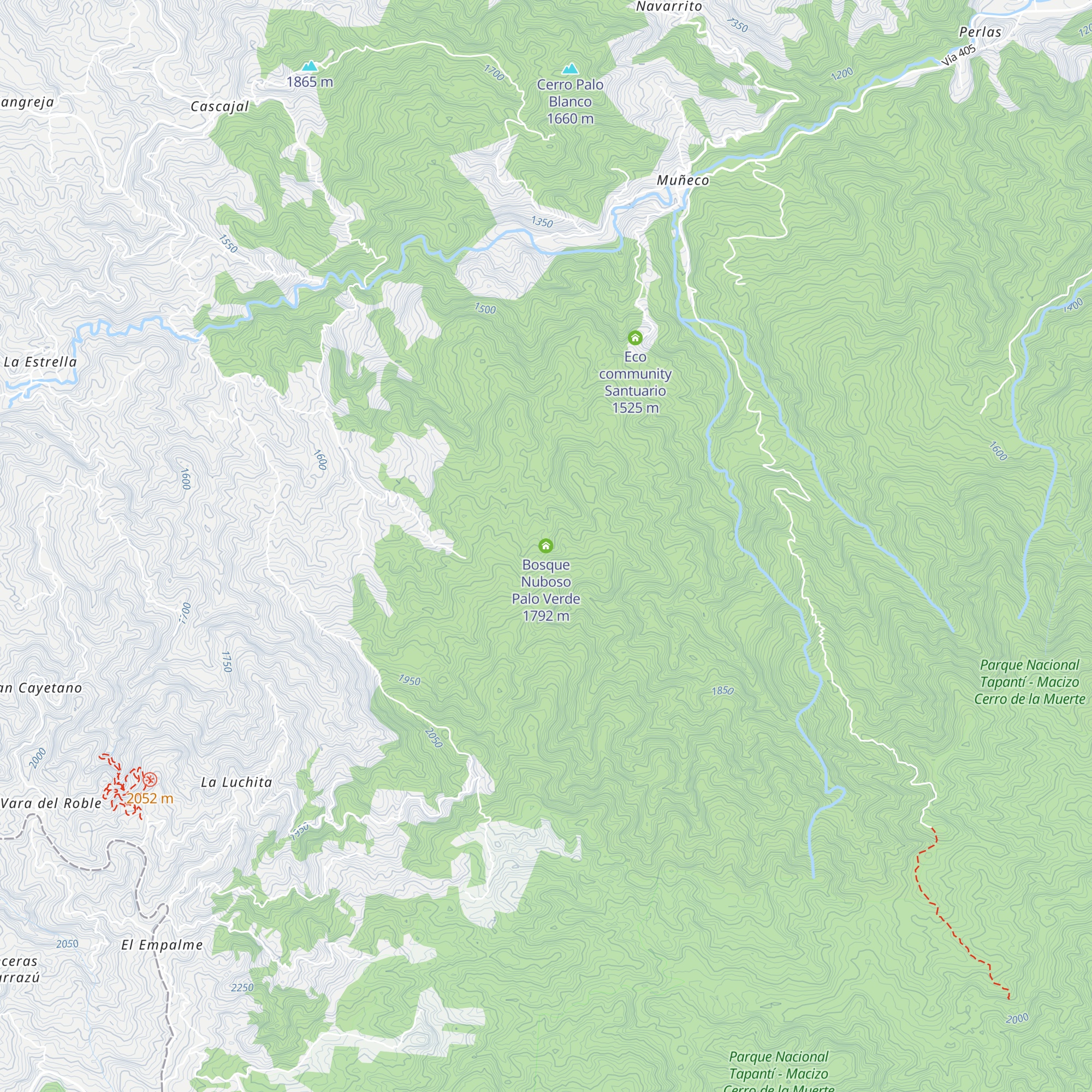 Bosque Nuboso Palo Verde map