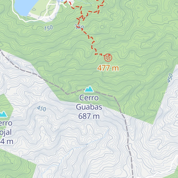 Map of Cerro Guabas