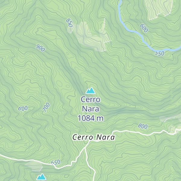 Map of Cerro Nara