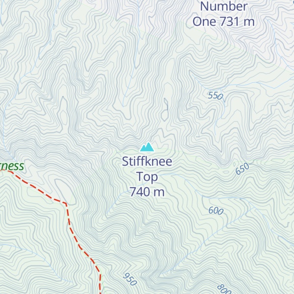 Map of Stiffknee Top