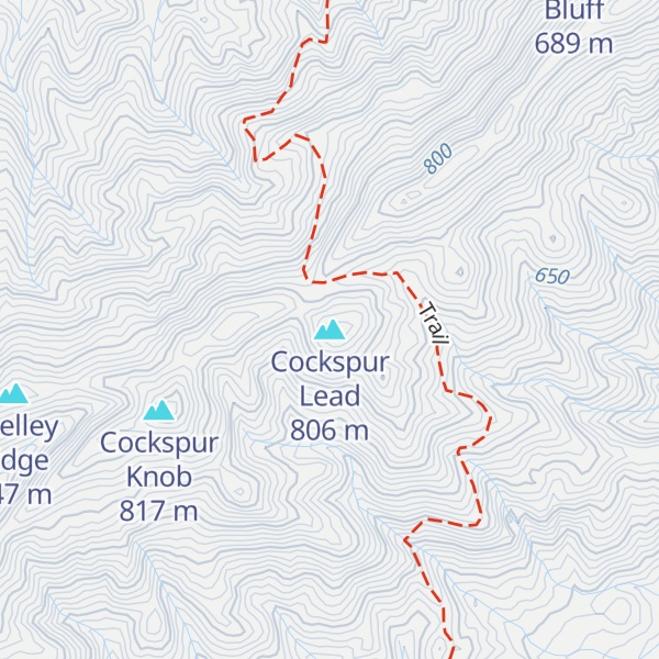 Map of Cockspur Lead