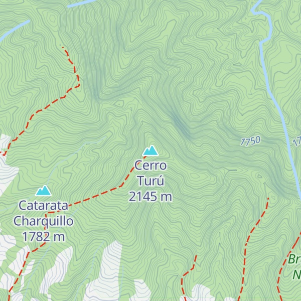 Map of Cerro Turú