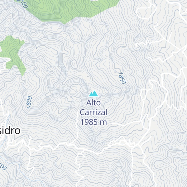 Map of Alto Carrizal