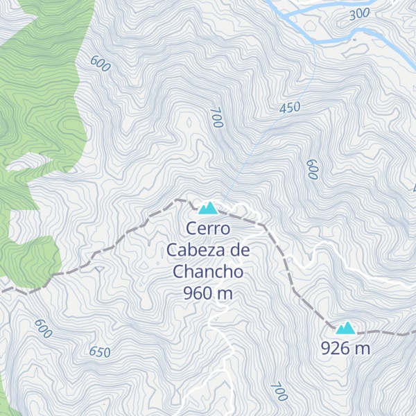 Map of Cerro Cabeza de Chancho