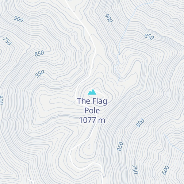 Map of The Flag Pole