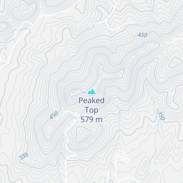Map of Peaked Top