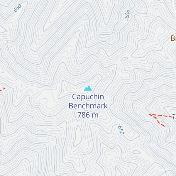 Map of Capuchin Benchmark