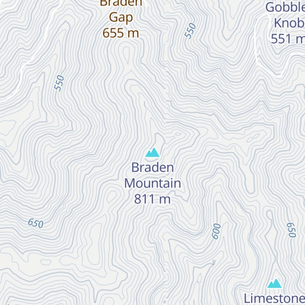 Map of Braden Mountain