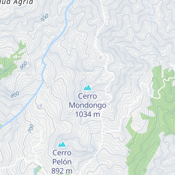 Map of Cerro Mondongo