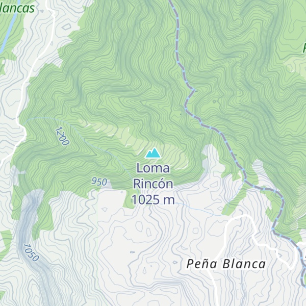 Map of Loma Rincón
