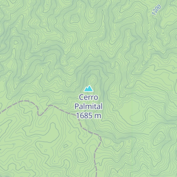 Map of Cerro Palmital
