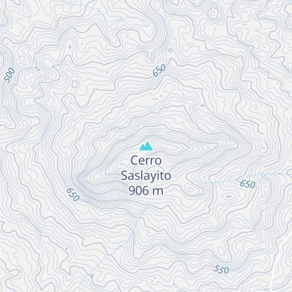 Map of Cerro Saslayito