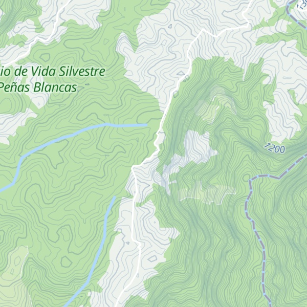 Map of Cerro Zapotal