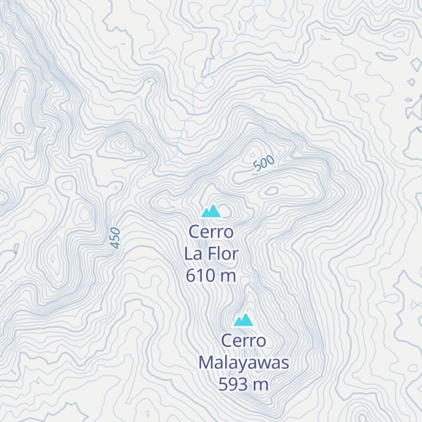 Map of Cerro La Flor