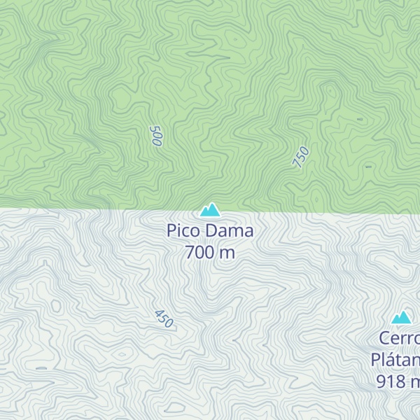 Map of Pico Dama