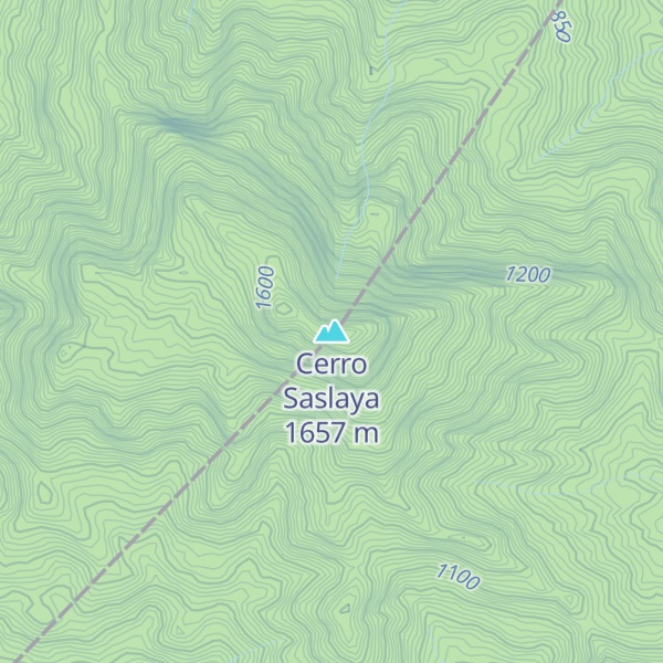Map of Cerro Saslaya