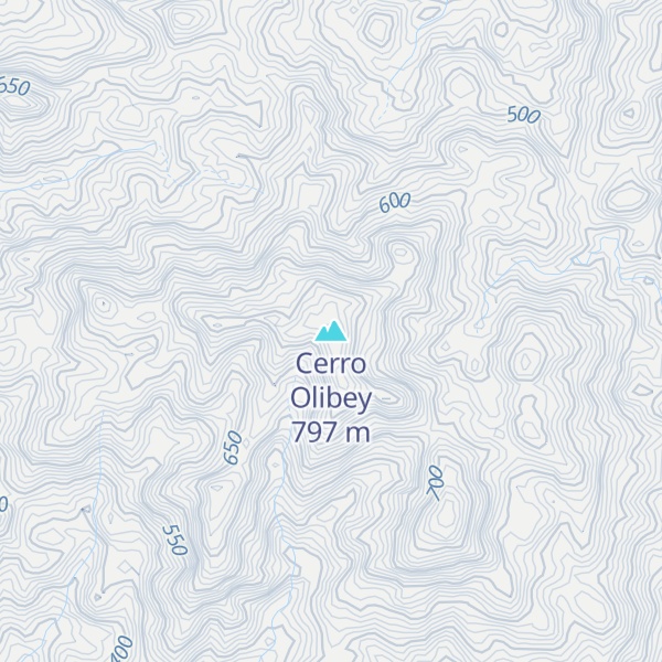 Map of Cerro Olibey