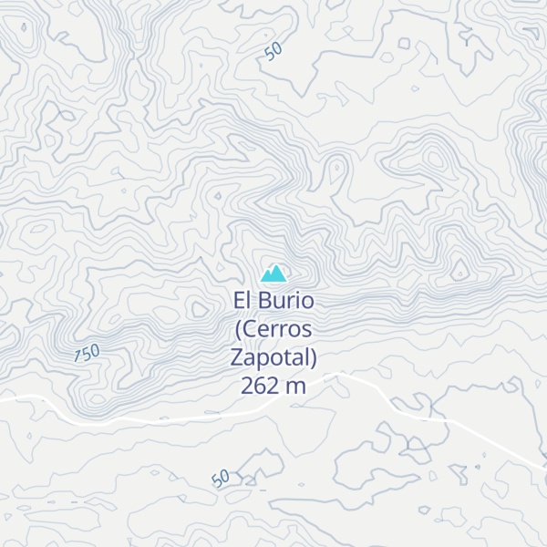 Map of El Burio (Cerros Zapotal)