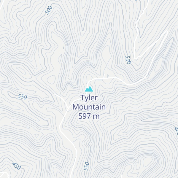 Map of Tyler Mountain