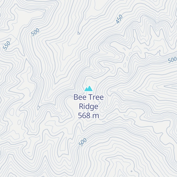 Map of Bee Tree Ridge